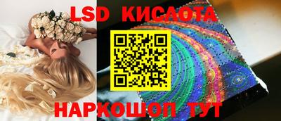гидра Братск