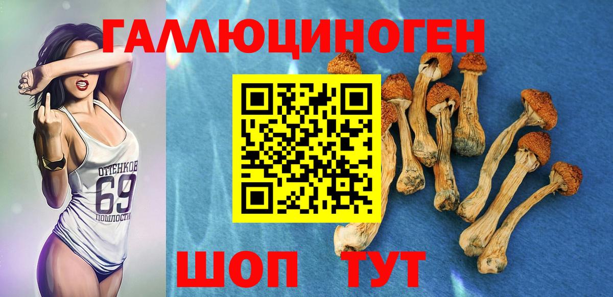Галлюциногенные грибы Psilocybine cubensis  Вход с VPN  Великий Устюг 